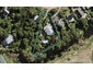 13 Te Makiri Road, Onetangi, Waiheke Island - Carousel 1