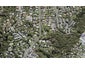 47 Verbena Road, Birkdale, Auckland - Carousel 1
