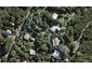 30 Glen Brook Road, Omiha, Waiheke Island - Carousel 1