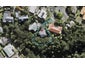 17 Portsea Place, Chatswood, Auckland - Carousel 1