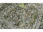 24 Weetman Drive, Browns Bay, Auckland - Carousel 1