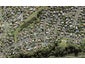 2B van Dyke Place, West Harbour, Auckland - Carousel 1