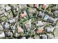 126 Awaruku Road, Torbay, Auckland - Carousel 1