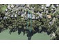 28 Marae Road, Greenhithe, Auckland - Carousel 1
