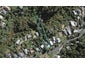 47 Ocean Road, Surfdale, Waiheke Island - Carousel 1