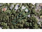 21 Opou Road, Titirangi, Auckland - Carousel 1