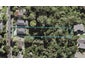 2/115 Canongate Street, Birkdale, Auckland - Carousel 1