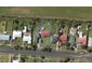 104 William Jones Drive, Otangarei, Whangarei - Carousel 1