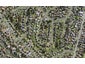 19B Sanft Avenue, Mount Roskill, Auckland - Carousel 1