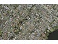 3A Trafalgar Road, Milford, Auckland - Carousel 1