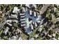 13 Torea Place, Waterview, Auckland - Carousel 1