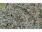 46 Drake Street, Howick, Auckland - Carousel 1