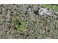 9 Erima Avenue, Point England, Auckland - Carousel 1