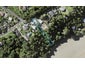 25 Pohutukawa Avenue, Shelly Park, Auckland - Carousel 1