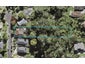 119 Canongate Street, Birkdale, Auckland - Carousel 1