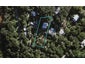 95 Wilma Road, Ostend, Waiheke Island - Carousel 1
