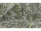 4 Stitchbird Close, Murrays Bay, Auckland - Carousel 1