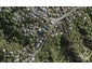 5 Cape Horn Road, Mount Roskill, Auckland - Carousel 1