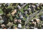 15 Netherton Street, New Windsor, Auckland - Carousel 1