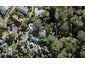 30 Blundell Place, Chatswood, Auckland - Carousel 1