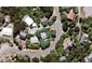 12 Hempleman Drive, Akaroa, Akaroa - Carousel 1