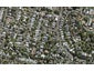 16 Pentland Avenue, Mount Eden, Auckland - Carousel 1