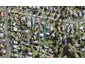 59 Methuen Road, New Windsor, Auckland - Carousel 1