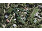 138 Fairview Crescent, Omiha, Waiheke Island - Carousel 1