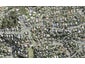 232 Glamorgan Drive, Northcross, Auckland - Carousel 1