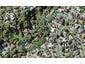 39 John Gill Road, Shelly Park, Auckland - Carousel 1