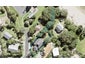 1 Lea Place, Stanmore Bay, Whangaparaoa - Carousel 1