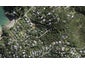 88 Coromandel Road, Oneroa, Waiheke Island - Carousel 1