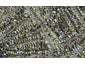 255 New Windsor Road, New Windsor, Auckland - Carousel 1