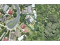 18 Kaimai Place, Hairini, Tauranga - Carousel 1