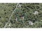 785 Scenic Drive, Henderson Valley, Auckland - Carousel 1