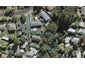9 Cunliffe Place, Glenfield, Auckland - Carousel 1