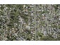 66A Verbena Road, Birkdale, Auckland - Carousel 1