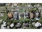 26 Tuhaere Street, Orakei, Auckland - Carousel 1