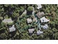121 Pemberton Avenue, Bayview, Auckland - Carousel 1