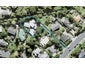 904 Beach Road, Waiake, Auckland - Carousel 1