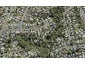 43 Fordham Street, Beach Haven, Auckland - Carousel 1
