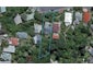 15 Balfour Street, Mornington, Wellington - Carousel 1