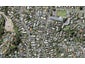 125 Kohimarama Road, Kohimarama, Auckland - Carousel 1