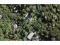 10 Valley Road, Titirangi, Auckland - Carousel 1