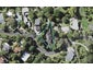 72 Braemar Road, Castor Bay, Auckland - Carousel 1