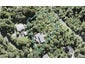 7 Quinns Road, Waiatarua, Auckland - Carousel 1