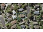 10 Kerria Place, Sunnynook, Auckland - Carousel 1