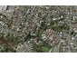 109 Meadowbank Road, Meadowbank, Auckland - Carousel 1