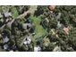 11 Scotts Terrace, Onetangi, Waiheke Island - Carousel 1