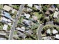56 Swann Beach Road, Stanmore Bay, Whangaparaoa - Carousel 1